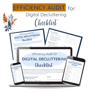 Efficiency Audit Checklist Business Resource